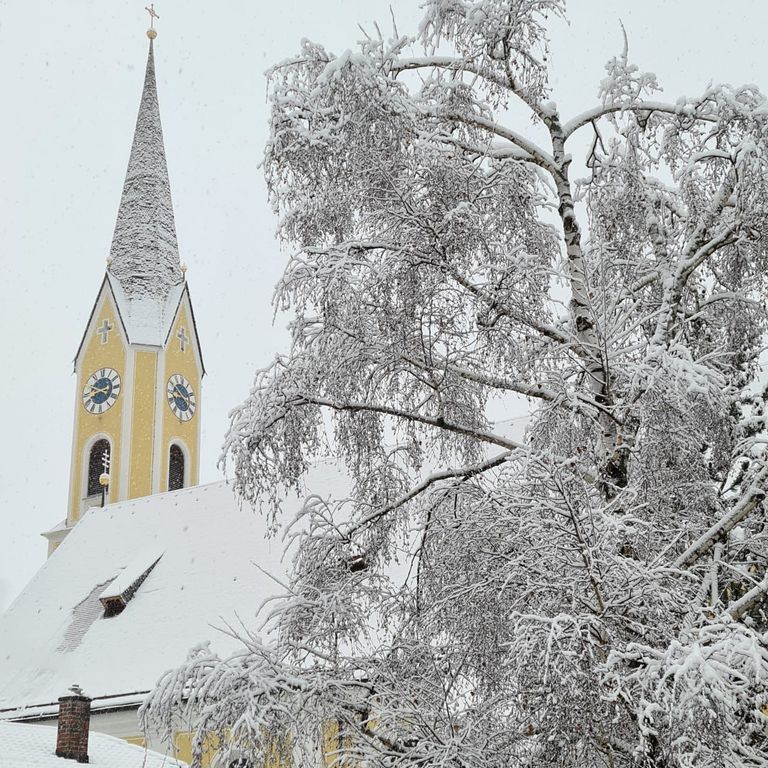 Ihr aktueller Blick von der Ferienwohnung Riepl